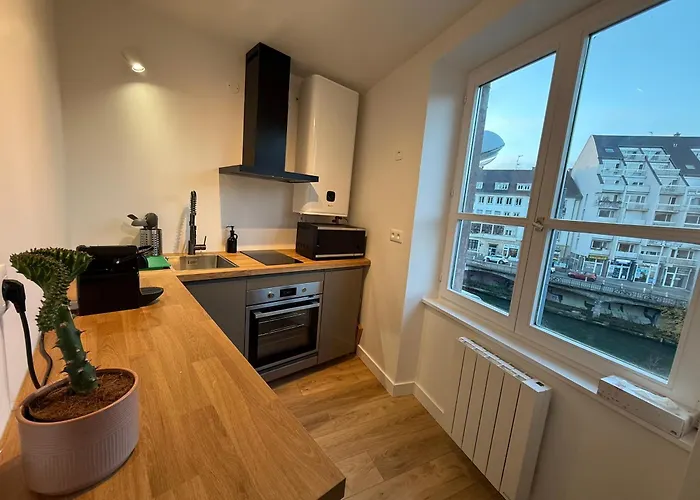 L'ecrin De La Petite France Appartement *